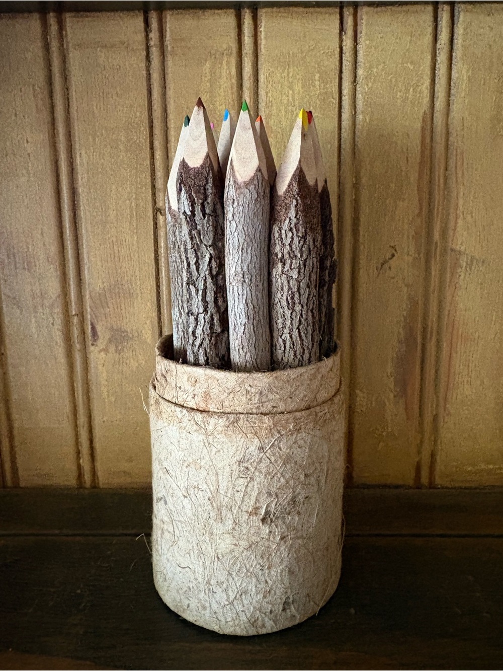 Rustic Real Twig Colored Pencils Set of 10 with Handmade Fiber Holder